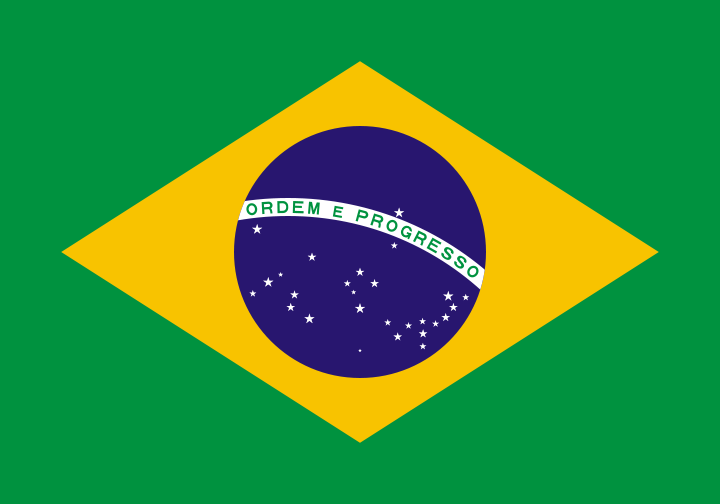 Brazilian Flag Outline. what do the Brazil+flag