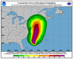 expected winds from Hurricane Henri, August 2021