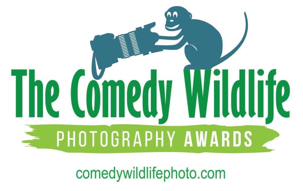 Comedy Wildlife Photography Awards Winners Announced Framingham